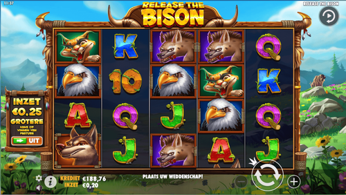Release the Bison reel image
